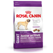 Сухой корм для собак Royal Canin Giant Junior Active