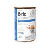 Лечебный влажный корм для собак и котов Brit Grain Free Veterinary Diet Recovery Salmon