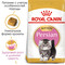 Сухой корм для котов Royal Canin Persian Kitten