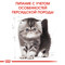 Сухой корм для котов Royal Canin Persian Kitten