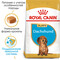 Сухой корм для собак Royal Canin Dachshund Puppy 