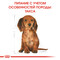 Сухой корм для собак Royal Canin Dachshund Puppy 