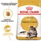 Сухой корм для котов Royal Canin Maine Coon Adult