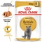 Влажный корм для котов Royal Canin British Shorthair Adult