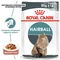 Влажный корм для котов Royal Canin Hairball Care Sauce
