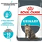 Лечебный сухой корм для котов Royal Canin Urinary Care